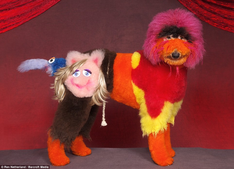 Photographer crosses America to record the weird and woolly winners of dog grooming pageants  5